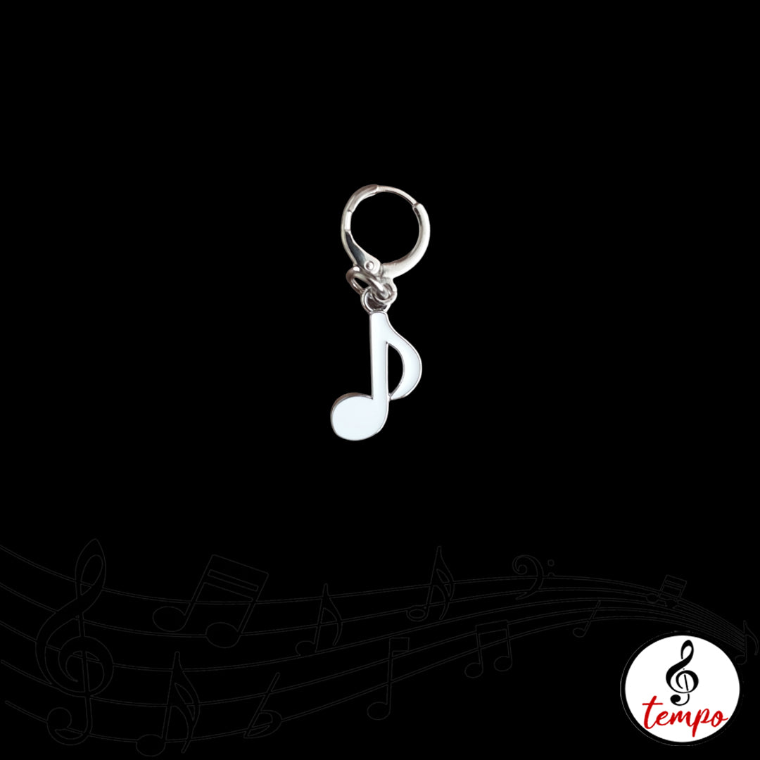 10 - Earrings with musical items